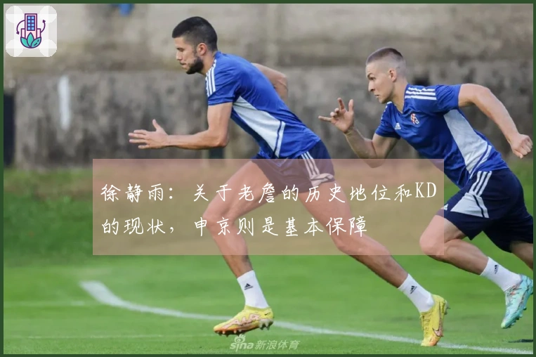 徐静雨：关于老詹的历史地位和KD的现状，申京则是基本保障