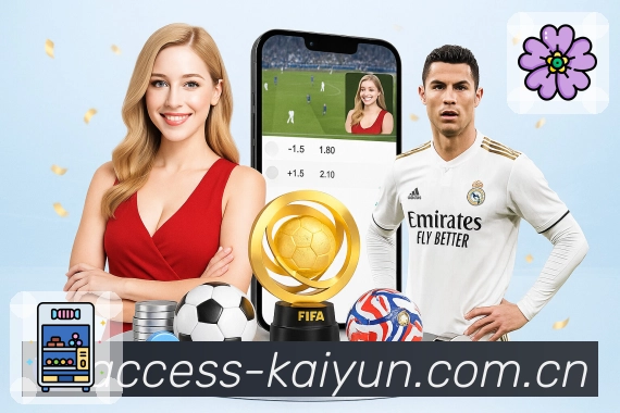 稳定访问登录器